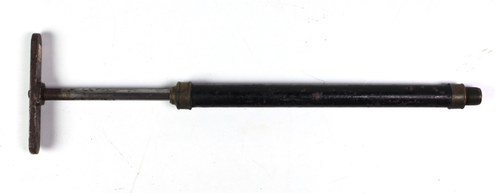 An unusual Walking Stick Air-Gun, with brass mounts, original pump.