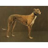 Berrisford Hill (British b. 1930) "Study of a standing Greyhound," O.O.C.