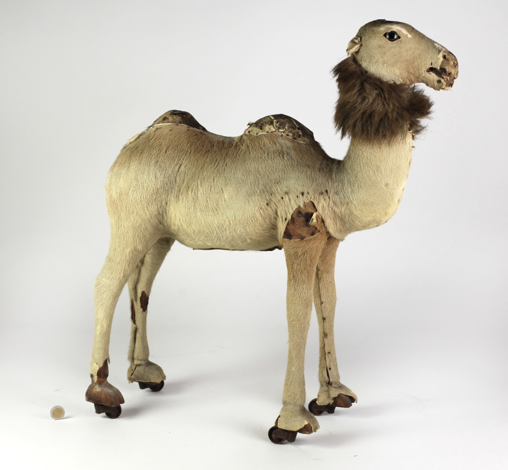 A Child's Pull Toy Model of a Camel, covered in hide, - Image 2 of 2