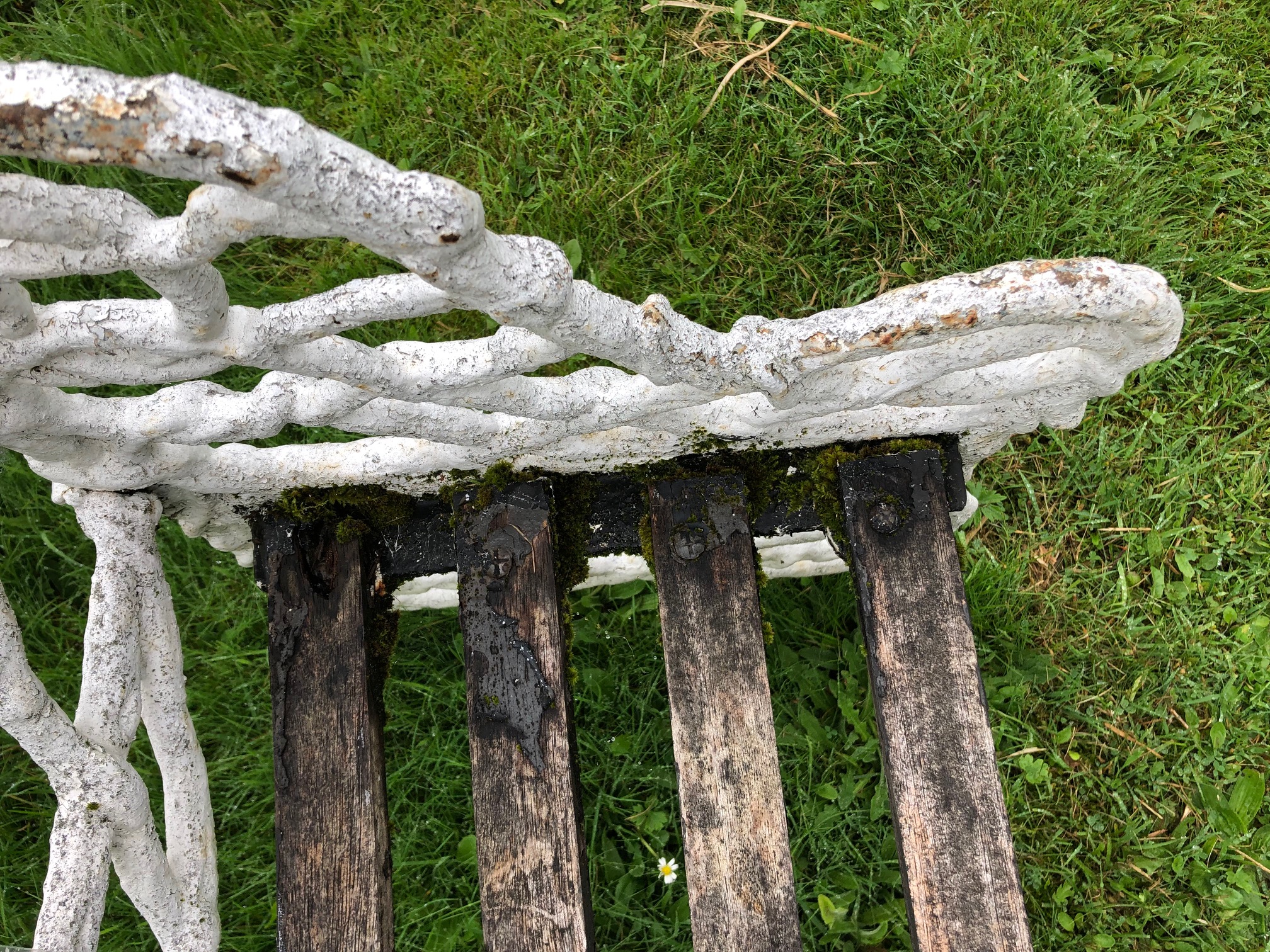 A Victorian period Gothic style cast iron Garden Bench, modelled as interwoven branches, - Image 9 of 9