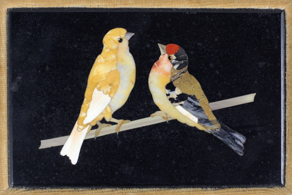 An small 19th Century Italian Pietra Dura Panel, depicting birds on a branch,