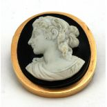 An attractive carved Cameo, of a young girl, in gold frame.