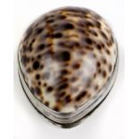 An attractive 19th Century cowrie shell Snuff Box, with hinged and engraved silver mount,