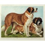 Day & Son, Lithographers "Cassels Large Dogs," St.
