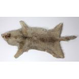 Taxidermy: A collection of varied Wild Animal Skins, Rugs, including Leopard Skin, Wildcat, Wolf,