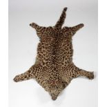 Taxidermy: An early Leopard Skin Rug, with head, snarling mouth and wide eyes, approx.