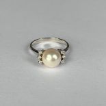 476 ANELLO in oro bianco 18 Kt.