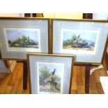 SET OF 3 SIGNED LIMITED EDITION DAVID SHEPHERD PRINTS 'THE WATERHOLE TRILOGY' NO. 1, 2 AND 3 542/