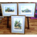 3 SIGNED LIMITED EDITION DAVID SHEPHERD PRINTS 'THE WATERHOLE TRILOGY' 542/1000 8" X 11"