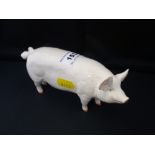BESWICK PIG FIGURE - CH WALL CH BOY 53