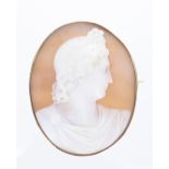 Oval shell cameo brooch carved with the profile head and shoulders of a Classical Roman man, 55mm