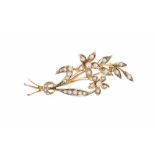 Edwardian 15ct seed pearl floral spray brooch, 4.5gm, 44mm wide