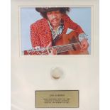 Jimi Hendrix - wood shavings from the 1960 Zemaitis acoustic guitar played by Jimi Hendrix, framed