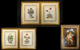 A Collection of Four Botanical Prints each framed and mounted under glass, To include Primulas,