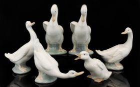 Nao A Collection Of Six Duck Figures Each in varying pose, each marked to base. The tallest, 6