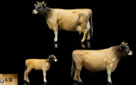 Beswick Cow Figures ( 3 ) In Total. Comprises 1/ Jersey Bull - CH ' Dunsley Coy Boy ' Model No 1422.