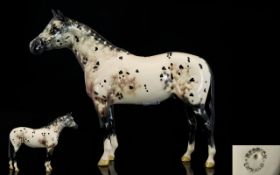 Beswick Horse Figure ' Appaloosa ' Stallion - Colour way Gloss. Model No AH1772. Designer A.