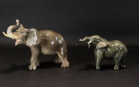 Beswick Elephant Figure with ' Trunk ' Stretching. Model No 974. Designer A. Gredington. Height 4.