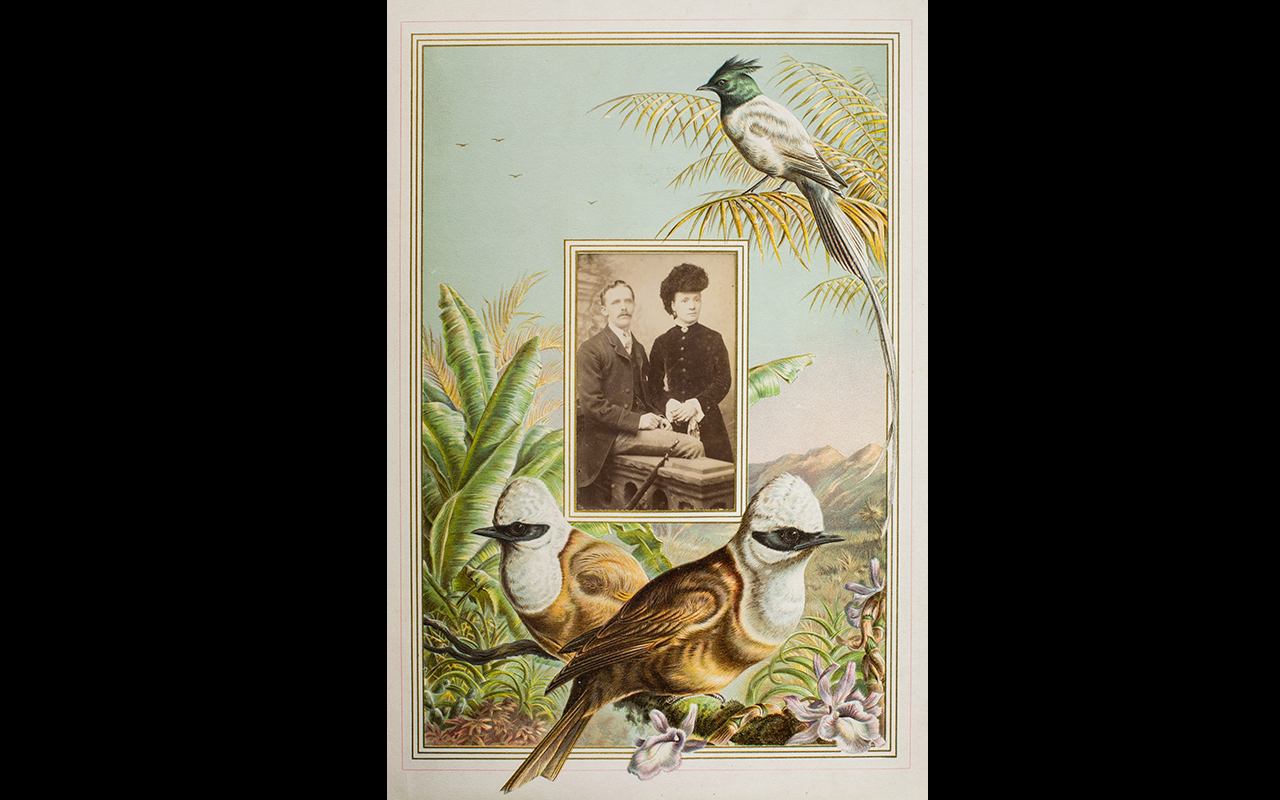 A Victorian Carte De Visite Album 'Flower And Feather, - Image 2 of 3