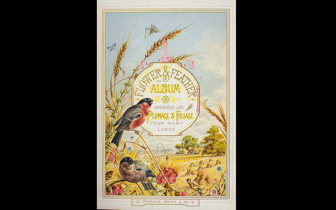 A Victorian Carte De Visite Album 'Flower And Feather, - Image 3 of 3