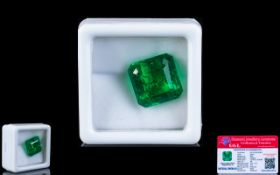 Natural Emerald Loose Gemstone With GGL Certificate/Report Stating The Emerald To Be 8.