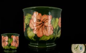 W, Moorcroft Tube lined Small Jardiniere ' Coral Hibiscus ' Design on Green Ground. 5 Inches - 12.