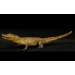 Taxidermy Interest, Early 20thC Crocodile, Length 30 Inches, open mouth with teeth displayed,