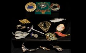 A Mixed Collection Of Vintage And Contemporary Costume Jewellery Brooches Approx 16 pieces to