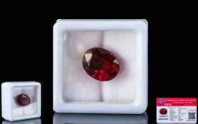 Natural Ruby Loose Gemstone With GGL Certificate/Report Stating The Ruby To Be 10.