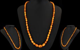 Butterscotch Amber Bead Necklace Antique necklace Comprising approx 57 ovoid beads of graduating