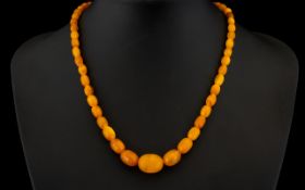An Antique Butterscotch Amber Bead Necklace - With Olive Shape Graduated Beads, Largest 2cm.