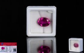 Natural Pink Sapphire Loose Gemstone With GGL Certificate/Report Stating The Sapphire To Be 8.