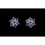 Tanzanite Star Cluster Stud Earrings,