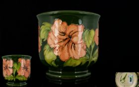 W, Moorcroft Tubelined Small Jardiniere ' Coral Hibiscus ' Design on Green Ground. 5 Inches - 12.5