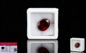 Natural Ruby Loose Gemstone With GGL Certificate/Report Stating The Ruby To Be 10.