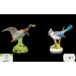 Spode - Hand Painted China Bird Figure ' Mallard Duck Rising ' 6.5 Inches - 16.25 cm High.