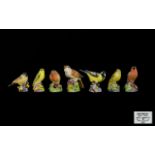 Royal Worcester Bone China Hand Painted Bird Figures ( 7 ) Seven In Total.