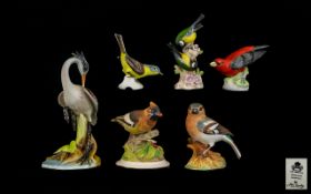 Excellent Collection of Signed Hand Painted Porcelain Ceramic Bird Figures From Different Factories