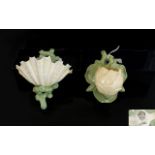 Royal Worcester Naturalistic Wall Sconce In The Form Of A Shell Nestled Amongst Kelp Circa 1870's