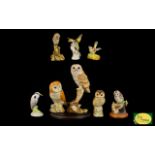 A Collection of Ceramic Bird Figures 8 in total of various heights and sizes,