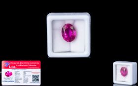 Natural Pink Sapphire Loose Gemstone With GGL Certificate/Report Stating The Sapphire To Be 10.