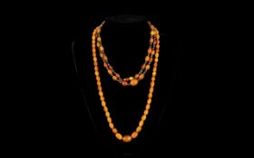 Antique Period Superb Amber Butterscotch Beaded Necklaces ( 3 ) In Total.