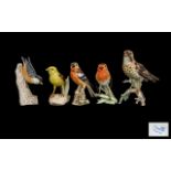Goebel Collection of Hand Painted Large Size Ceramic Bird Figures ( 5 ) Five In Total - From the