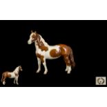 Beswick Horse Figure ' Pinto Pony ' 2nd Version. Model No 1373, Skewbald Brown and White.
