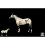 Beswick Horse Figure ' Appaloosa Stallion ' Black and White Colour way No 2. Designer A. Gredington.