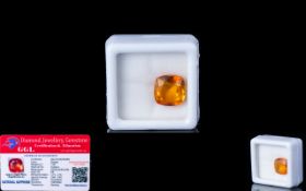 Natural Orange Sapphire Loose Gemstone With GGL Certificate/Report Stating The Sapphire To Be 7.