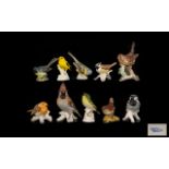 Large Collection of Geobel Hand Painted Bird Figures ( 9 ) Nine In Total + 1 Beswick Bird Figures (