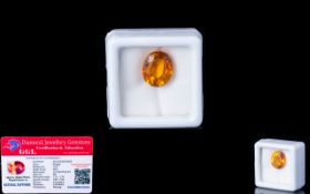 Natural Orange Sapphire Loose Gemstone With GGL Certificate/Report Stating The Sapphire To Be 7.
