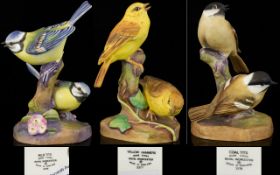 A Collection Of Royal Worcester Bird Figure Groups Three in toatl to include Coal Tits no.