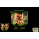 W, Moorcroft Tubelined Small Jardiniere ' Coral Hibiscus ' Design on Green Ground. 5 Inches - 12.
